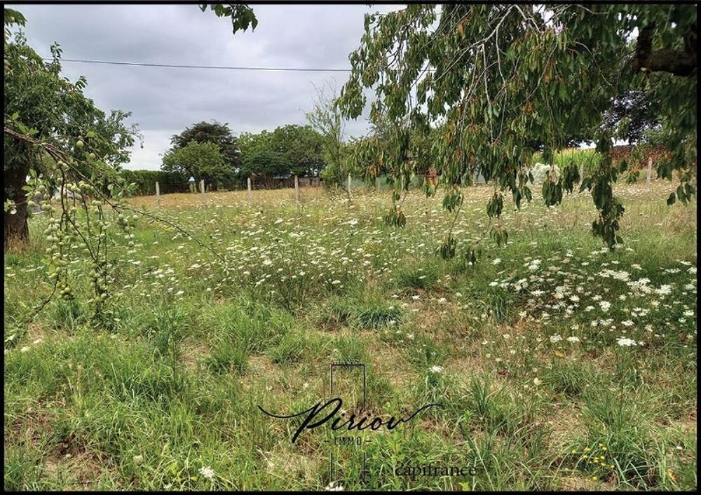 Vente Terrain Proche du coeur de ville Baugé - 1300 m² de terrain partiellement arboré Bauge en anjou