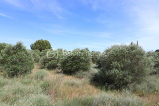 Terrain à vendre 15365 m²