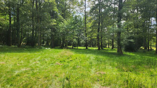  Terrain � vendre 86771 m�