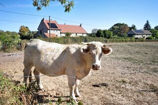 Vente Maison Maison de 230 m2 sur 763 m2 de parcelle à AUXY (71) Auxy