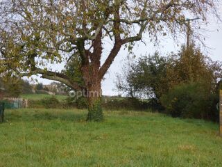  Terrain � vendre 1238 m�