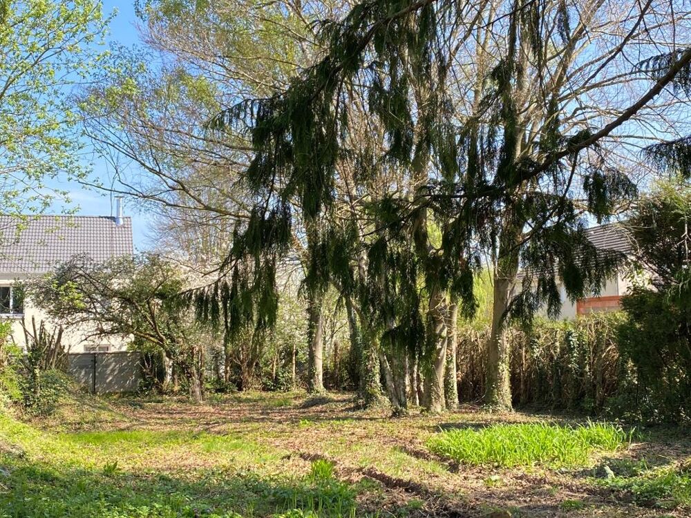 Vente Terrain Terrain Magny les hameaux