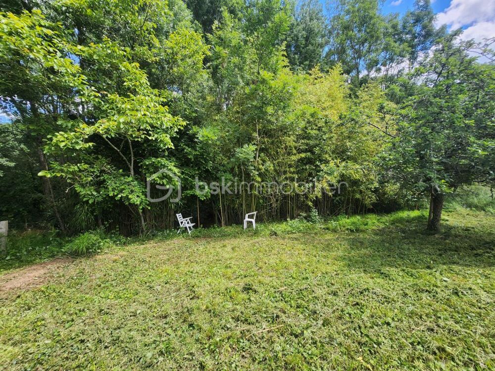 Vente Terrain Terrain de Loisirs en Bord de Rivière à Curzay-sur-Vonne (575 m²) Curzay sur vonne