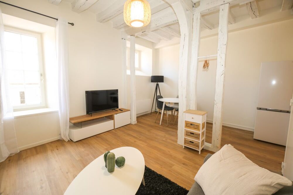 Location Appartement Appartement de 49m2 à louer sur Vierzon Vierzon