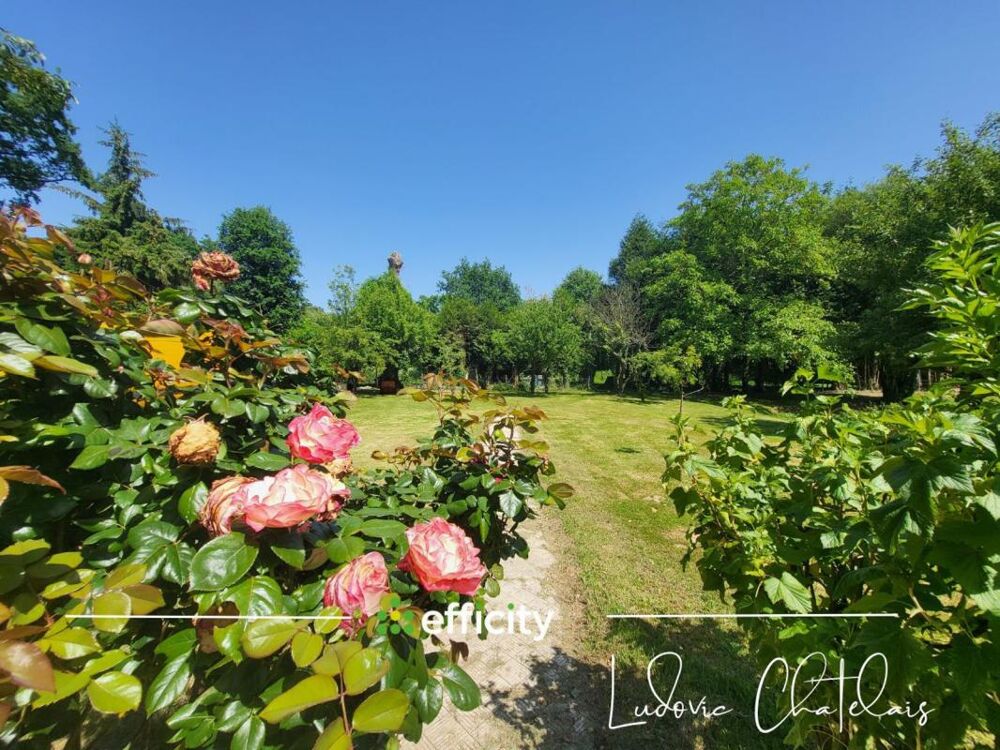 Vente Maison Maison Saint gondran