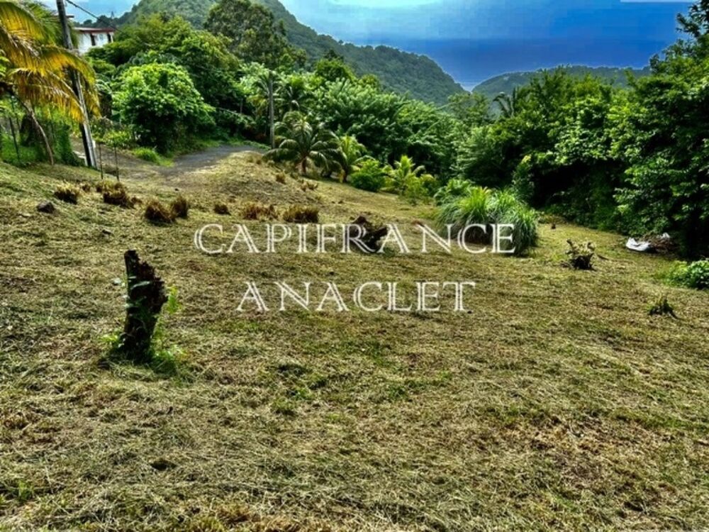 Vente Terrain Dpt Martinique (972),  vendre CASE PILOTE terrain Case pilote