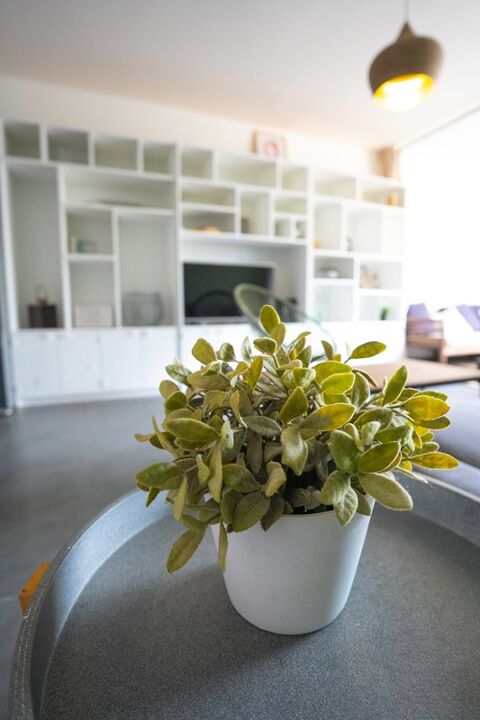  Appartement  louer 2 pices 55 m