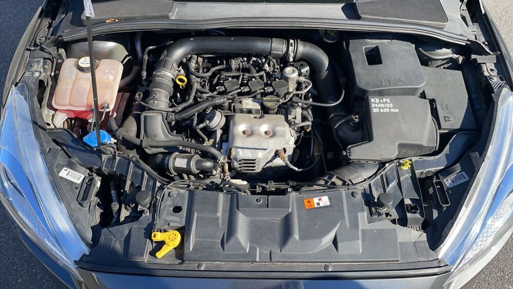 Focus III 1.0 SCTi EcoBoost 100 Business 2015 occasion 49100 Angers