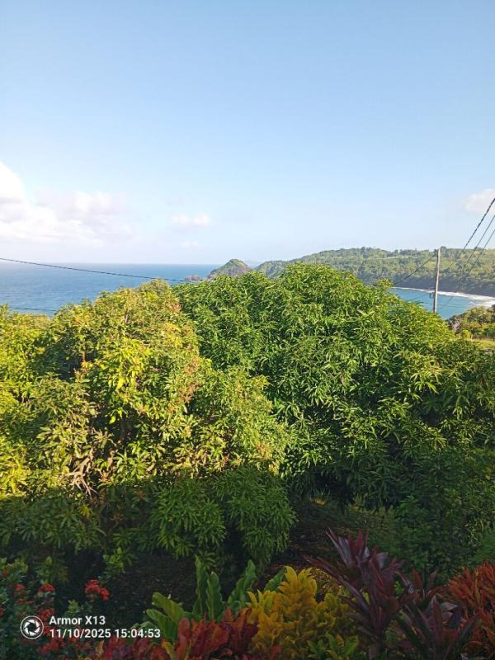 Vente Immeuble Immeuble Le Marigot  240 m2 Le marigot