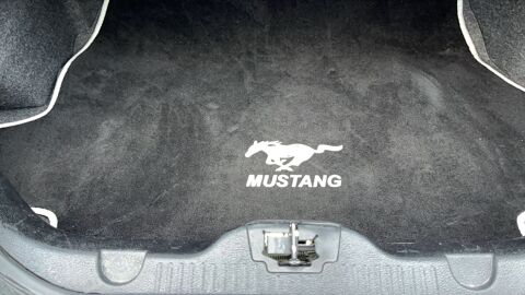 Mustang 5 3.7 V6 305 BVA Cabriolet - Automatique 2010 occasion 84000 Avignon