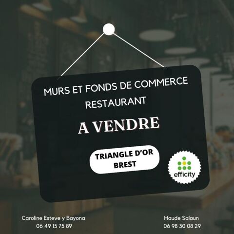Locaux/Biens immobiliers 458000 29200 Brest