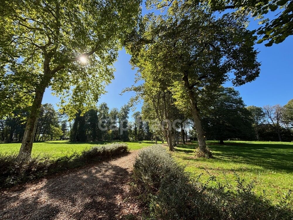 � vendre  Propri�t�/ch�teau Sancerre (18300)