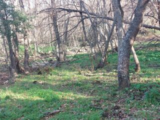  Terrain � vendre 1361 m�