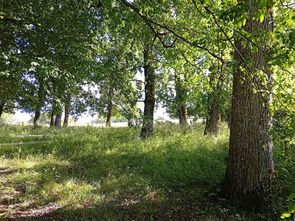 Vente Maison Maison terrain 3Ha permis de construire Beauregard