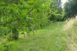  Terrain  vendre 1197 m