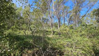  Terrain � vendre 8850 m�
