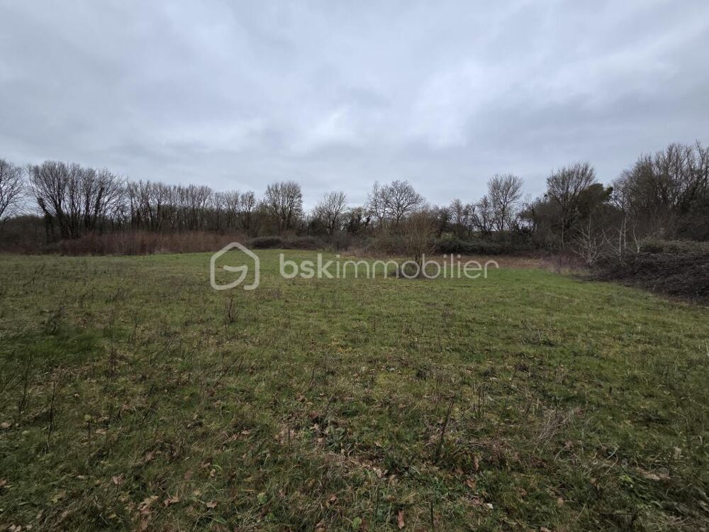 Vente Terrain Terrain non constructible Blanzay
