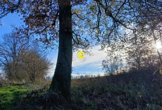  Terrain � vendre 19000 m�