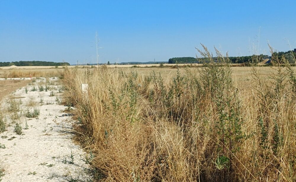 Vente Terrain Terrain à vendre   (16) Viabilisé de 853 m2 Roullet saint estephe