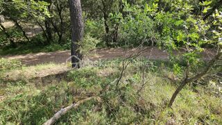  Terrain � vendre 8850 m�