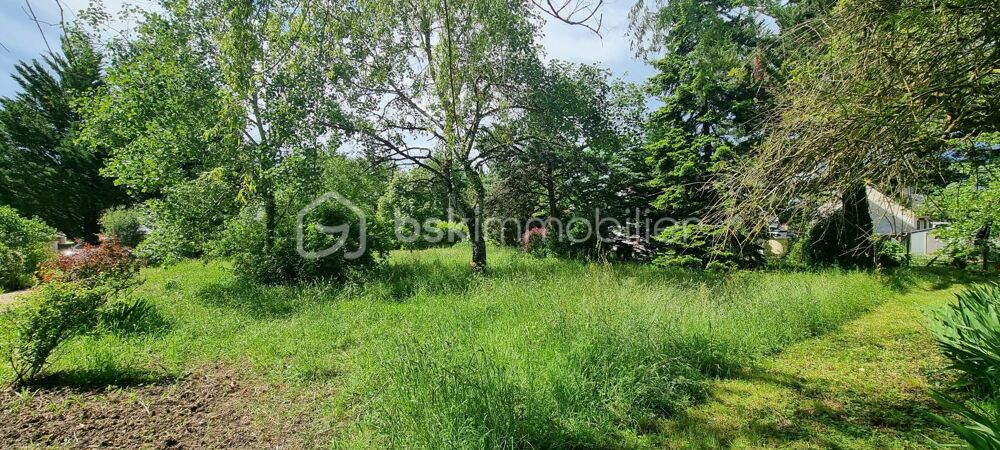 Vente Terrain Terrain constructible de 965 m² à CHEILLE - 4 KM d'Azay-le-Rideau Cheille