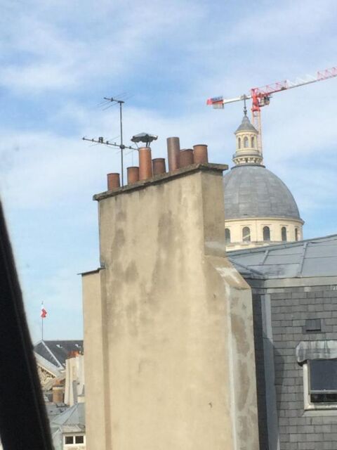  Appartement � louer 1 pi�ce 14 m�