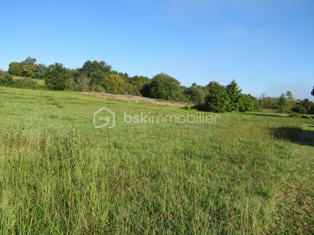 Vente Terrain Terrain constructible de 3900 m² environ avec vue dominante Baliracq maumusson