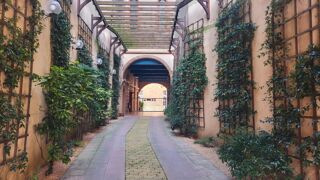  Appartement � vendre 1 pi�ce 30 m�