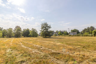  Terrain à vendre 7161 m²