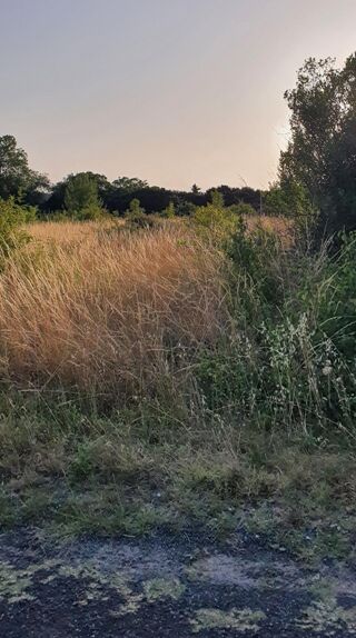  Terrain  vendre 1465 m