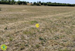  Terrain à vendre 2001 m²