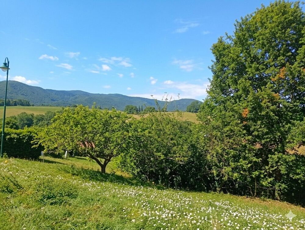 Vente Terrain Terrain à vendre  proche de FOIX (09) Foix