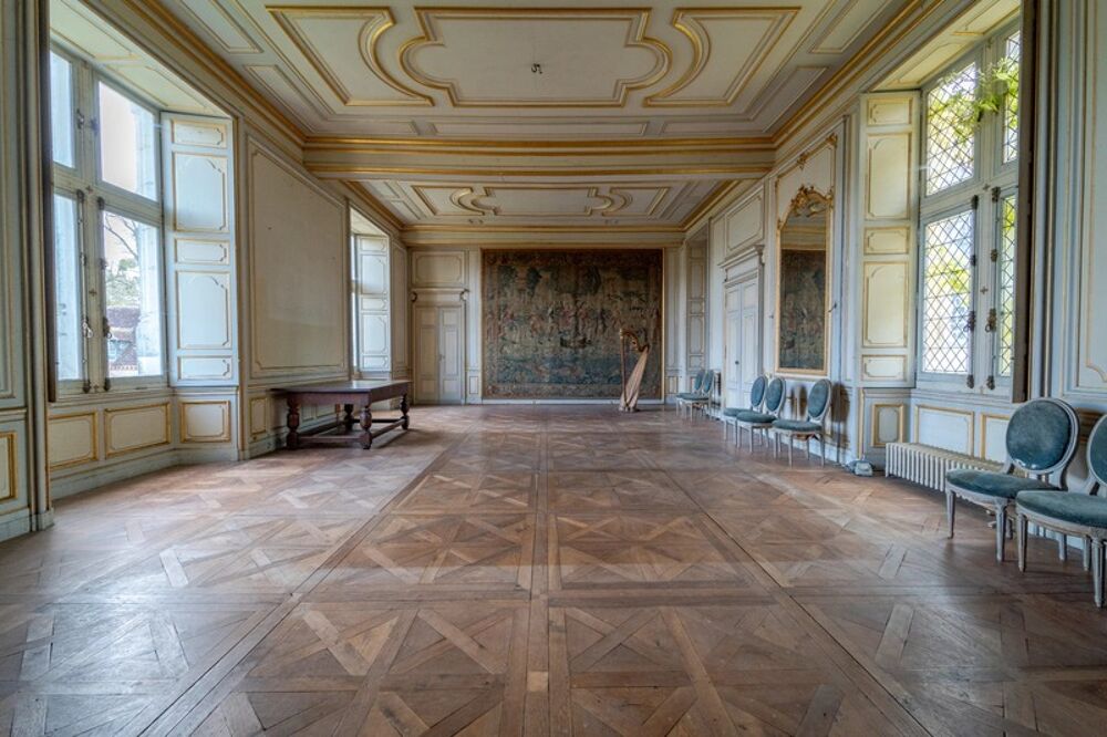 � vendre  Propri�t�/ch�teau Saint-Florent-sur-Cher (18400)