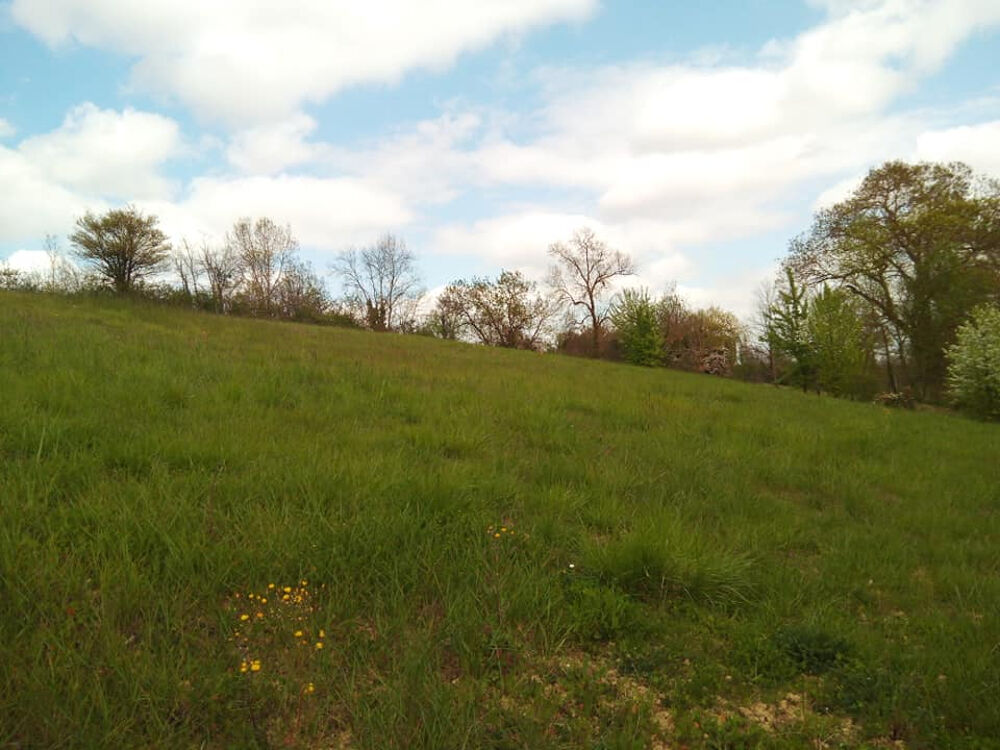 Vente Terrain Terrain 1409m² Fleurance (32500) 1 parcelle Fleurance
