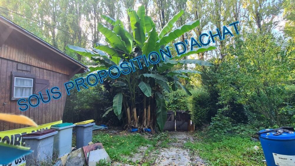 Petite propriété avec une maison et un chalet à CHALIFERT (77)
