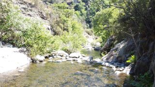  Maison � vendre 2 pi�ces 70 m�