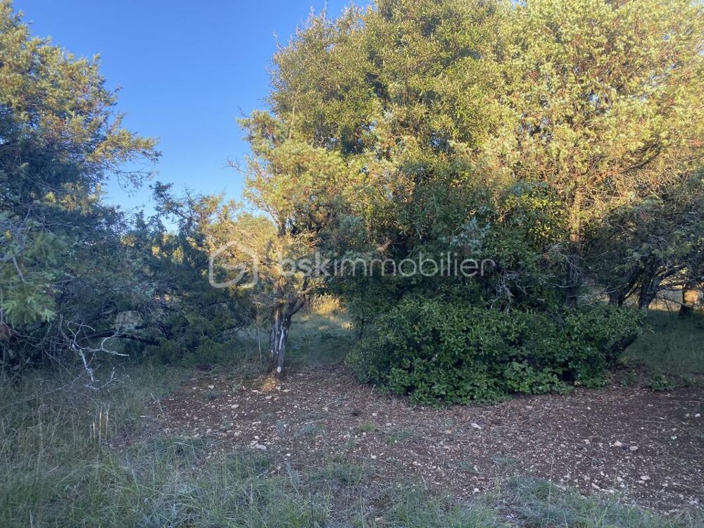 Vente Terrain Terrain en garrigue Ardchoise Bidon