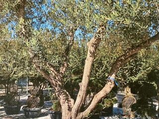  Maison � vendre 5 pi�ces 124 m�