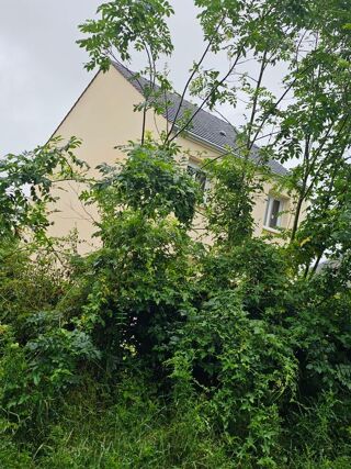  Maison � louer 5 pi�ces 88 m�