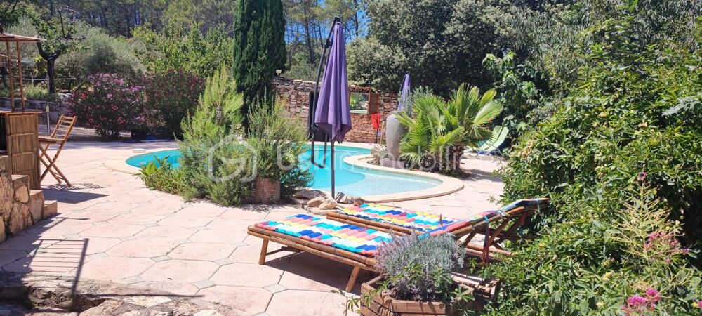 � vendre  Propri�t�/ch�teau Carc�s (83570)