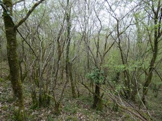  Terrain � vendre 8257 m�