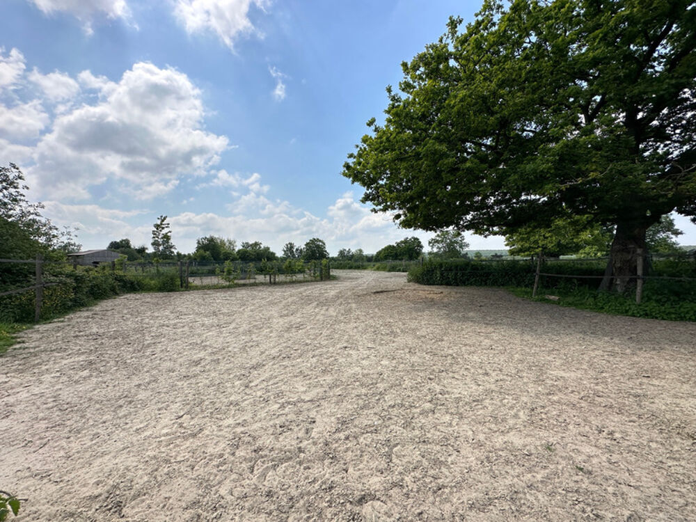 � vendre  Propri�t�/ch�teau La Mailleraye-sur-Seine (76940)