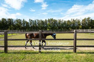  Maison � vendre 7 pi�ces 340 m�