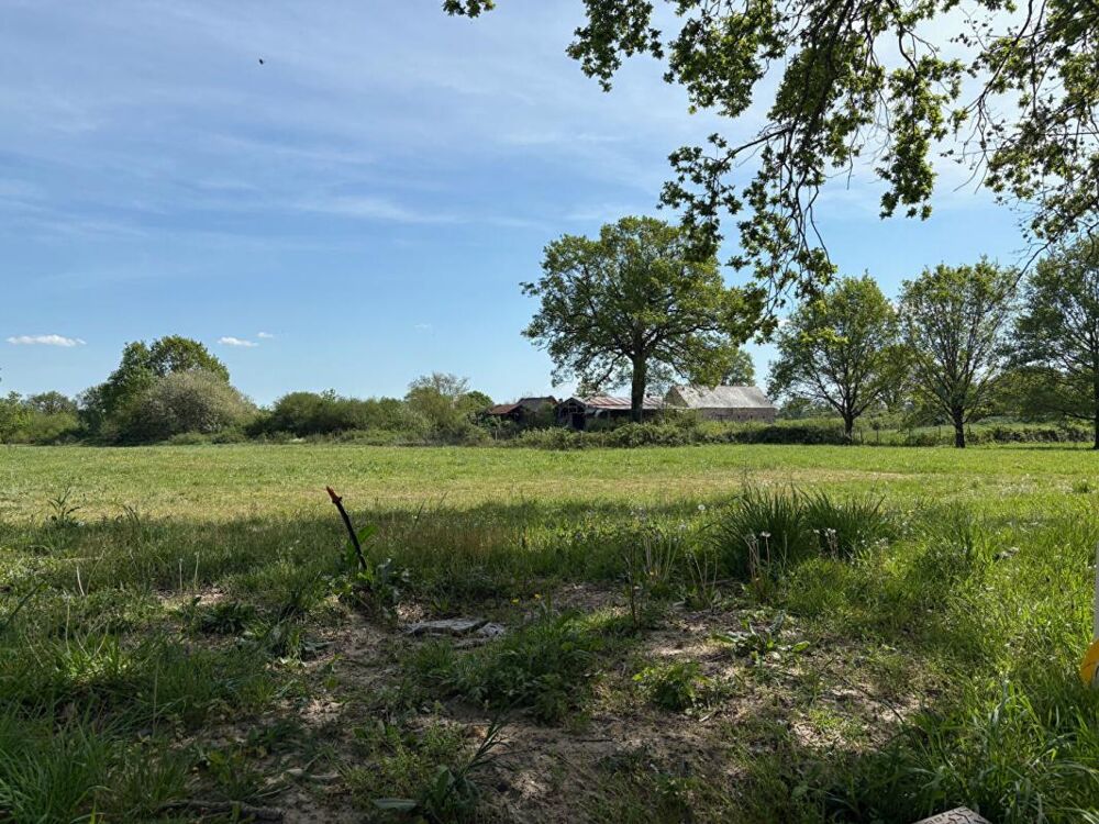 Vente Terrain Terrain Ecuillé 599 m2 Soulaire et bourg