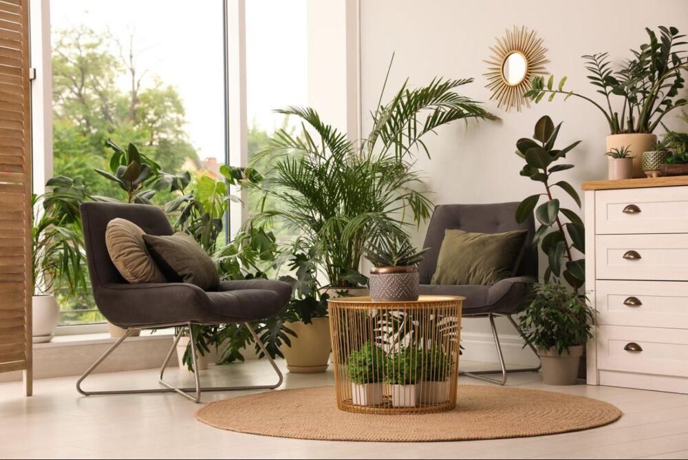 Appartement T2 de 45m² à Jacou