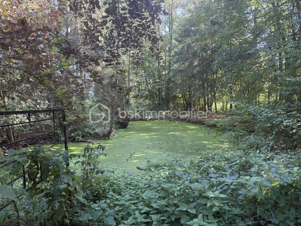 Vente Maison Havre de paix Rumigny