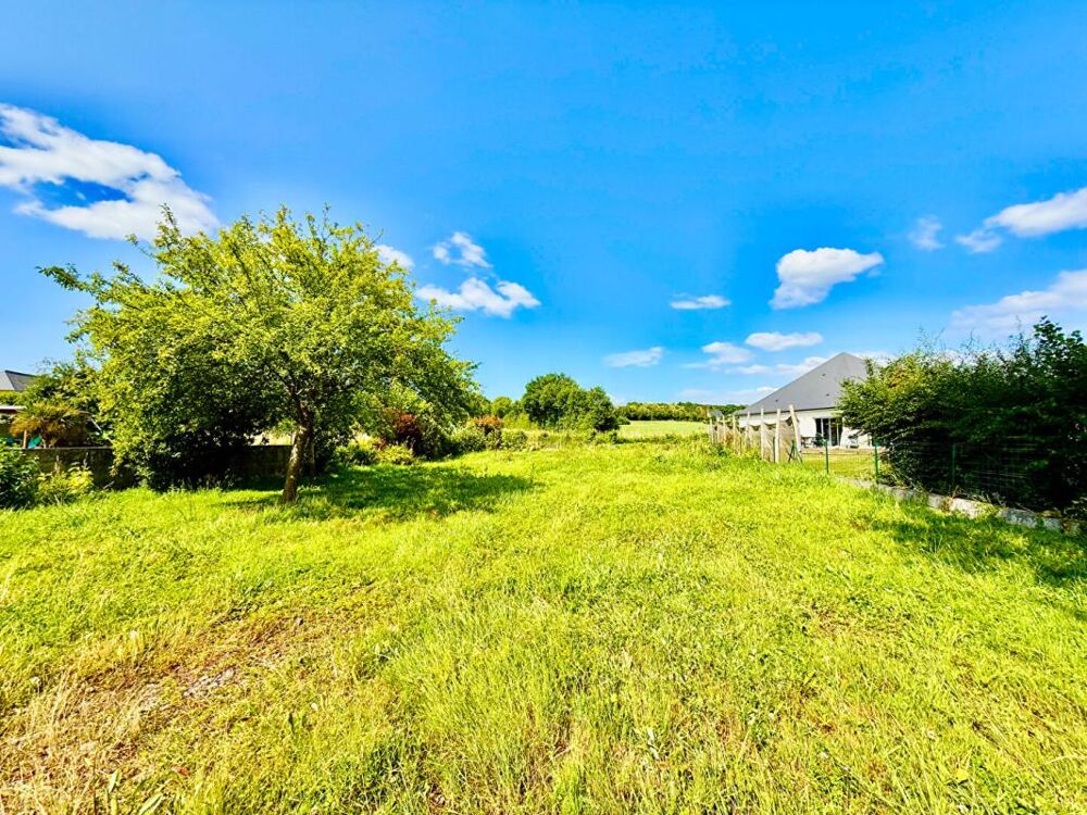 Vente Terrain Terrain Champigne 941 m2 Champigne