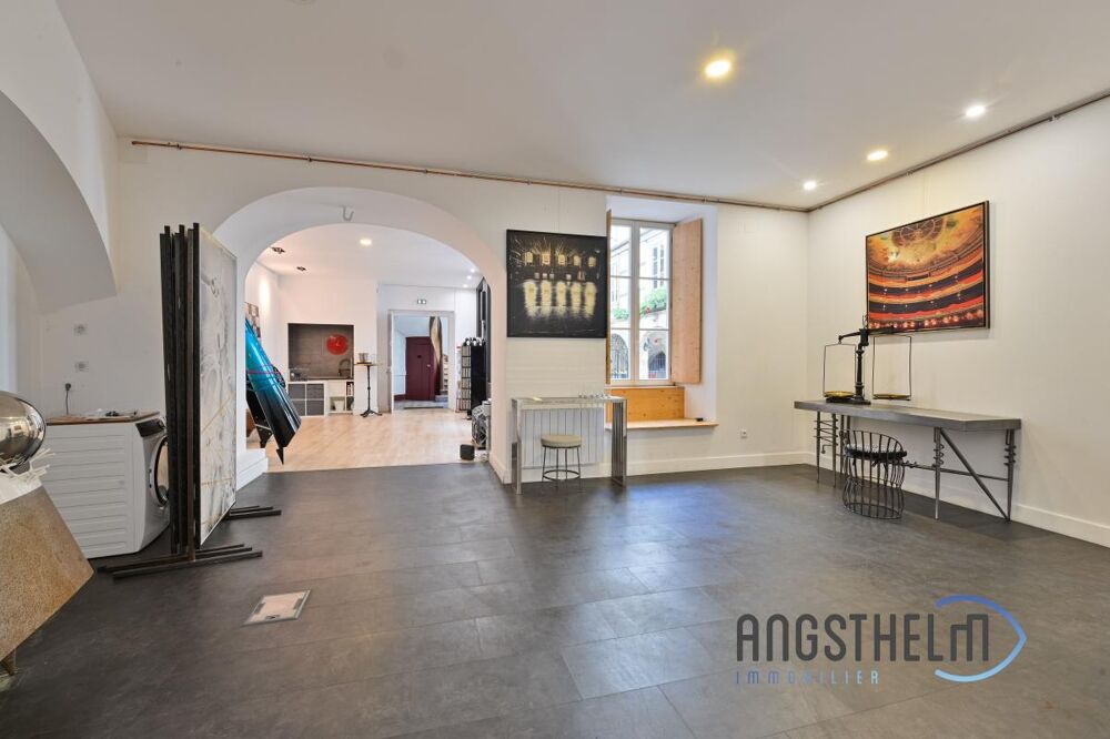  vendre  Loft Strasbourg (67000)