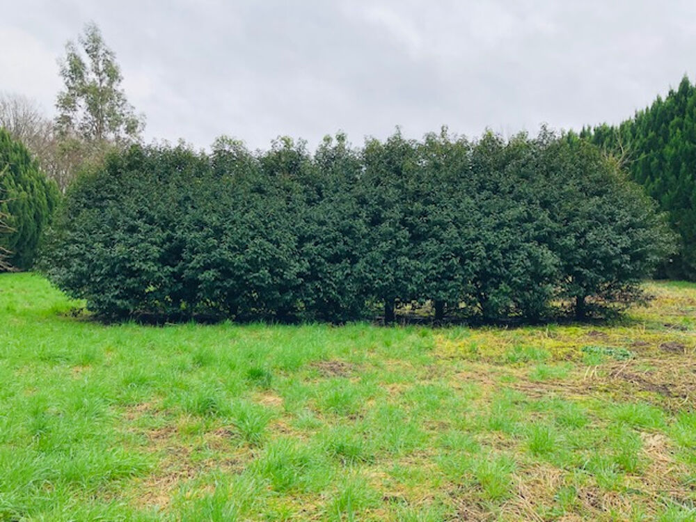 Vente Terrain Terrain Viabilisé - 1200 m2 Lassigny