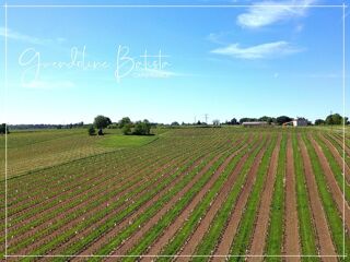  Maison � vendre 5 pi�ces 145 m�